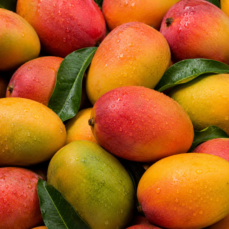 I nostri ingredienti per il gelato, mango fresco
