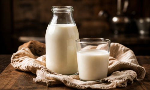latte fresco di qualità per il nostro gelato artigianale a Como